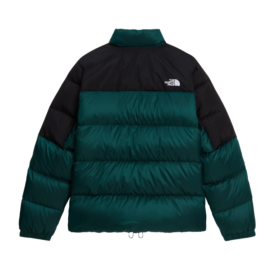 The North Face M DIABLO DOWN 2.0 JACKET Erkek Mont - THE NORTH FACE (1)