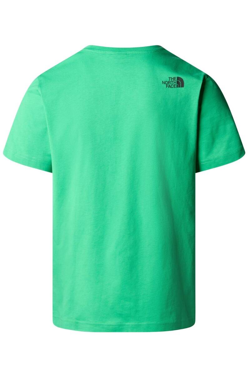 The North Face M Erkek S/S Fine Tee Tişört - 2