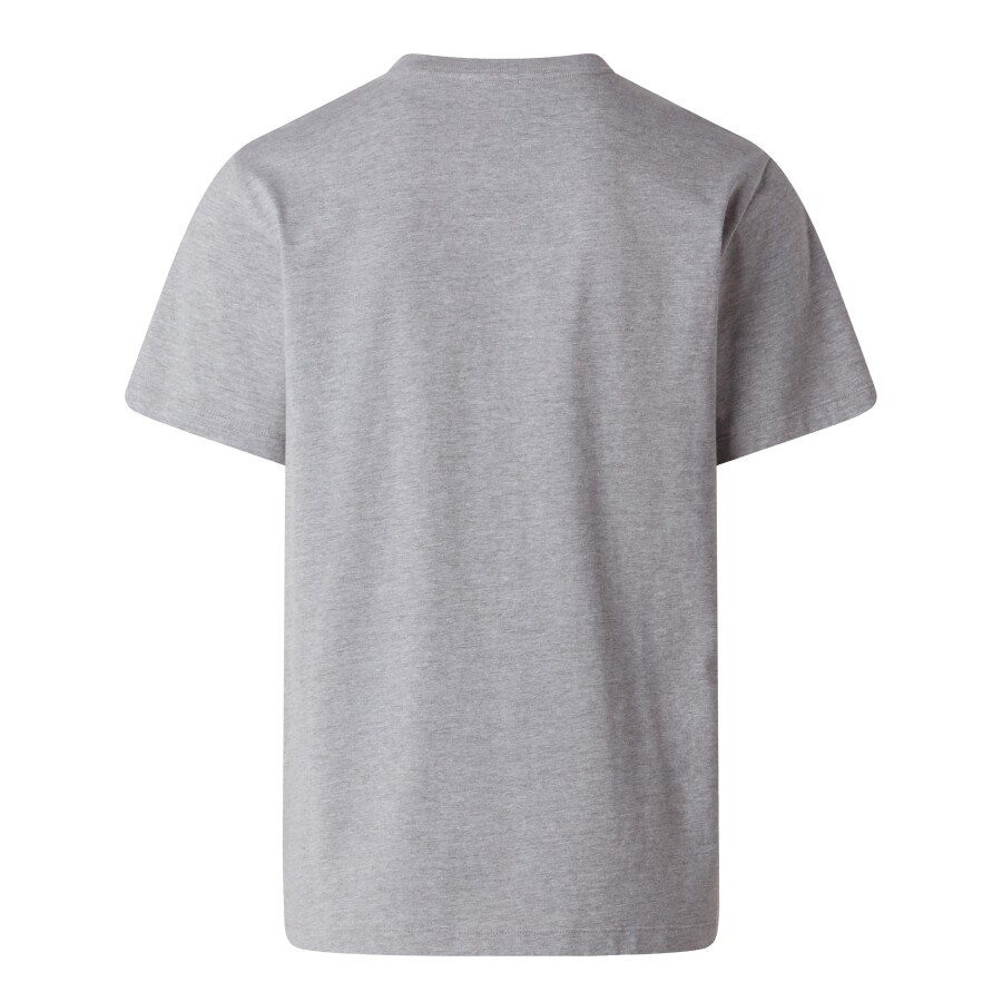 The North Face M EVOLUTION SIMPLE DOME REGULAR SHORT SL Gri Tişört - THE NORTH FACE (1)