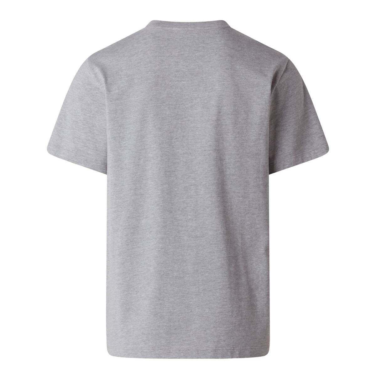 The North Face M EVOLUTION SIMPLE DOME REGULAR SHORT SL Gri Tişört - 2