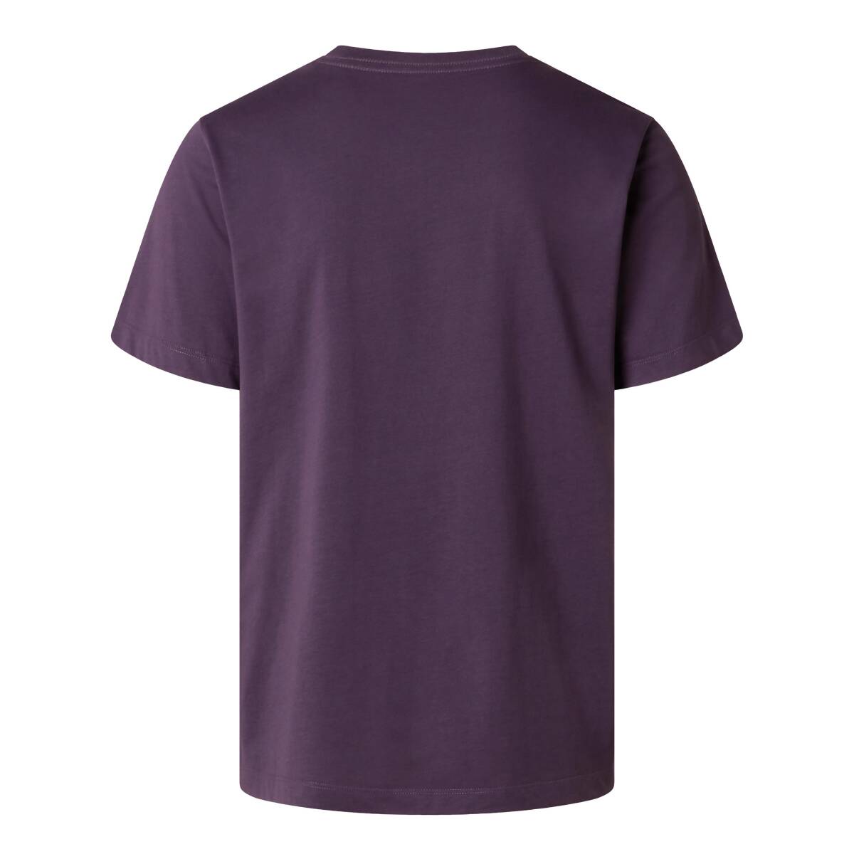 The North Face M EVOLUTION SIMPLE DOME REGULAR SHORT SL Mor Tişört - 2