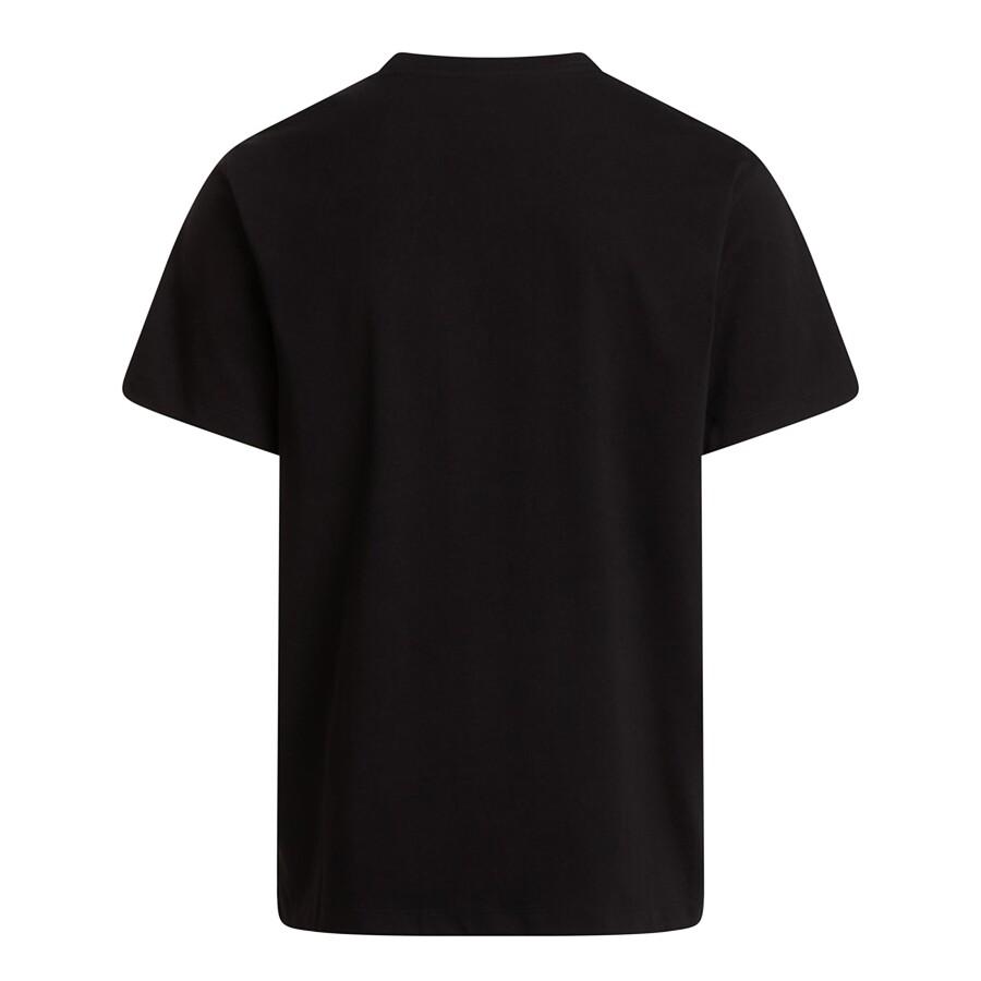 The North Face M EVOLUTION SIMPLE DOME REGULAR SHORT SL Siyah Tişört - THE NORTH FACE (1)