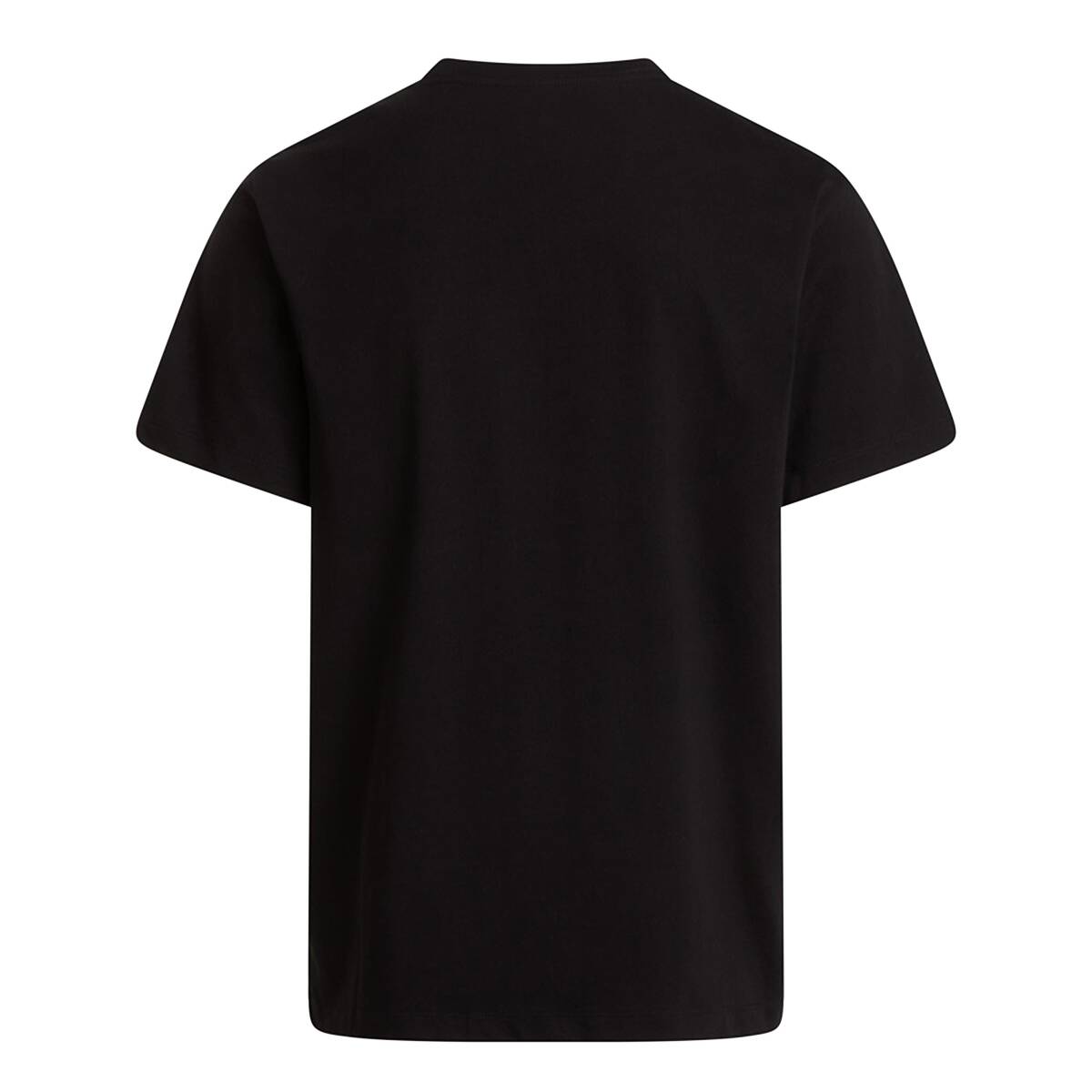The North Face M EVOLUTION SIMPLE DOME REGULAR SHORT SL Siyah Tişört - 2