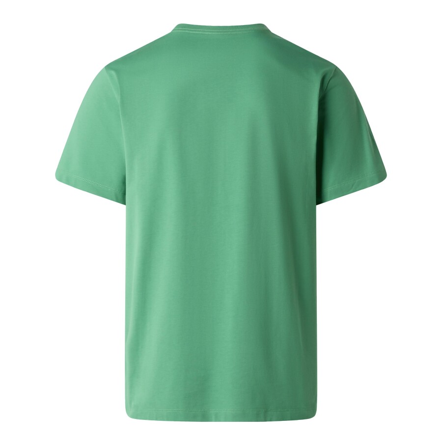 The North Face M EVOLUTION SIMPLE DOME REGULAR SHORT SL Yeşil Tişört - THE NORTH FACE (1)