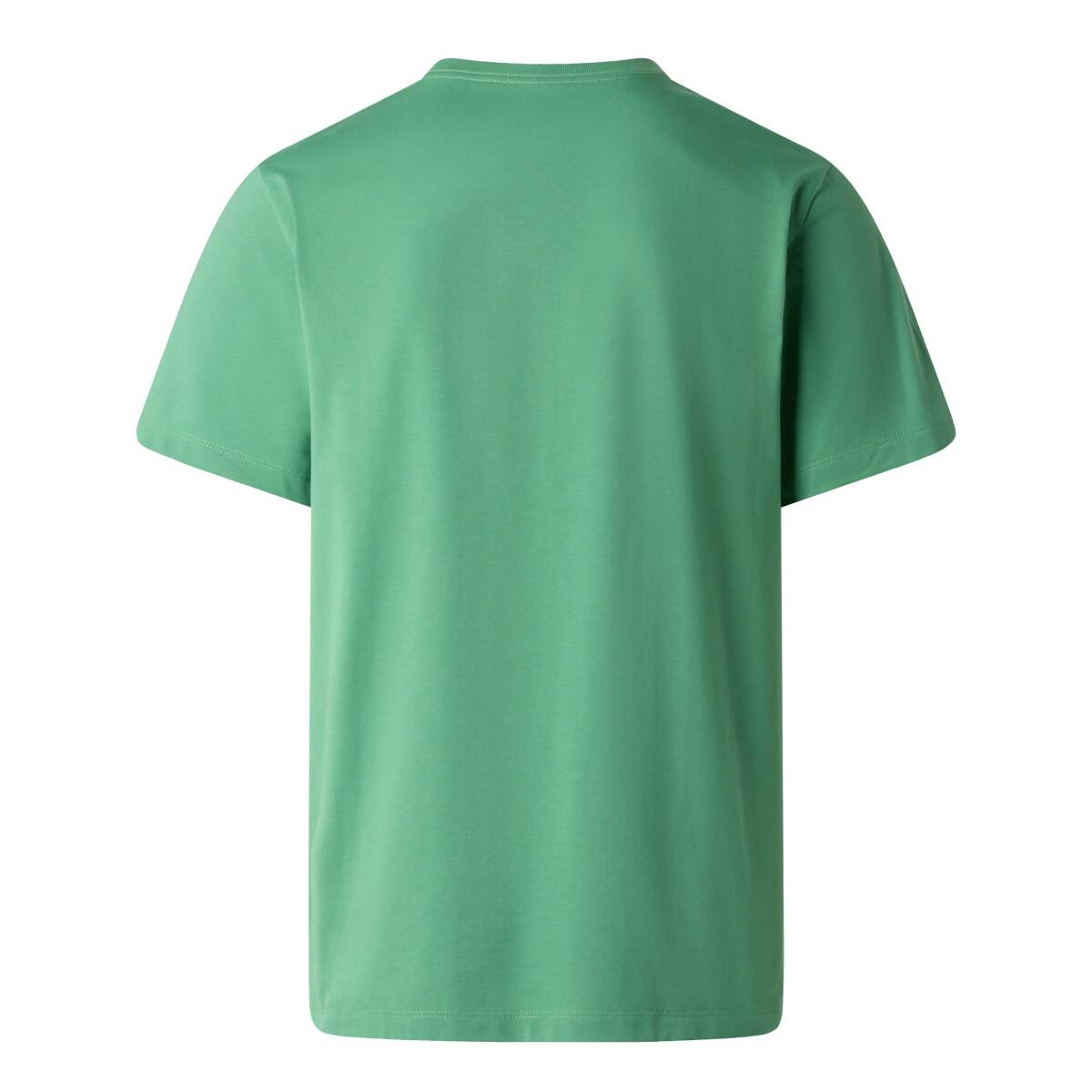 The North Face M EVOLUTION SIMPLE DOME REGULAR SHORT SL Yeşil Tişört - 2