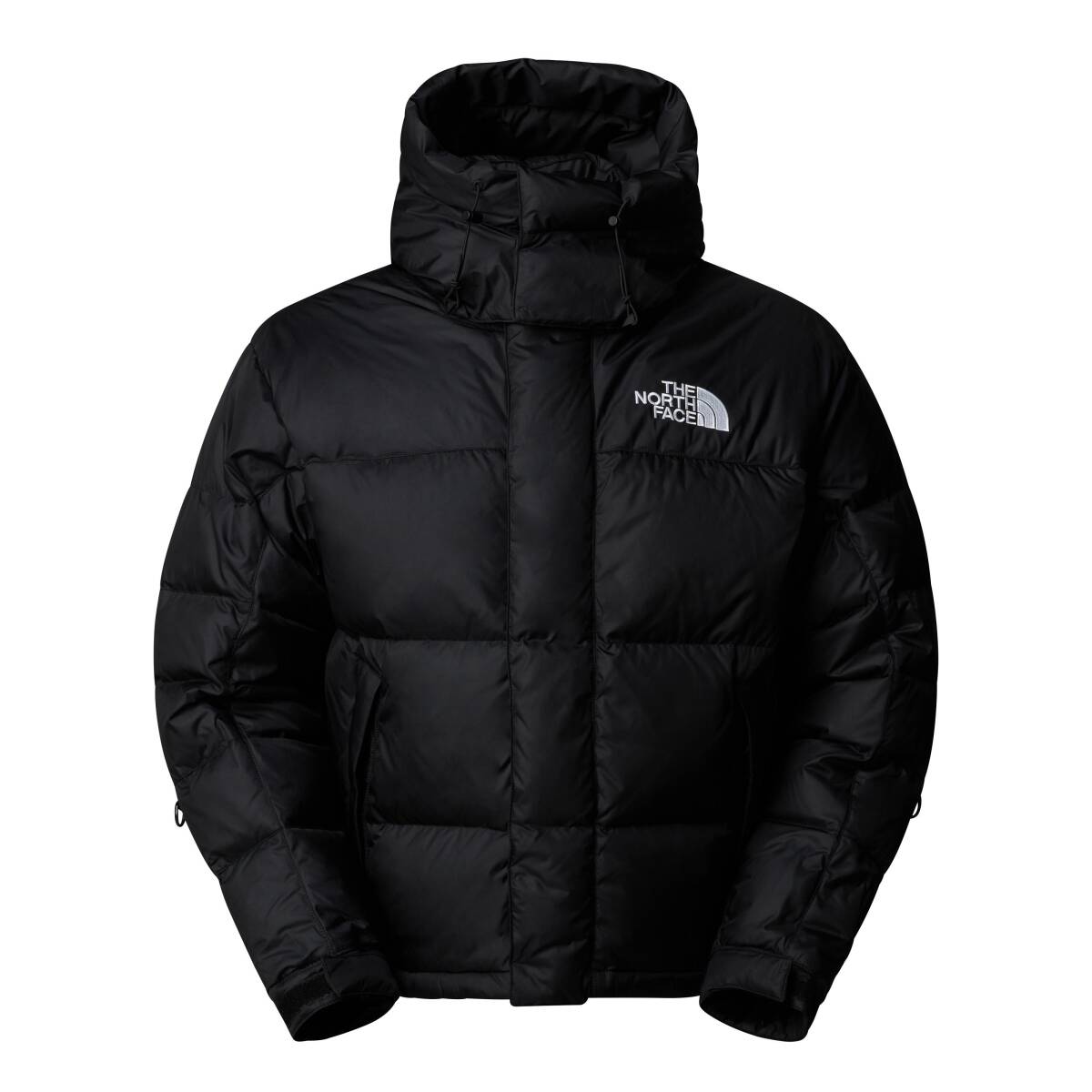The North Face M HMLYN BALTORO JACKET Erkek Mont - 1