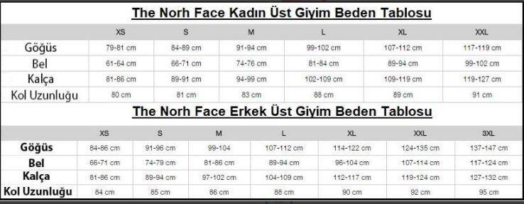 The North Face Mountain Line Erkek Tişört Mavi - 3