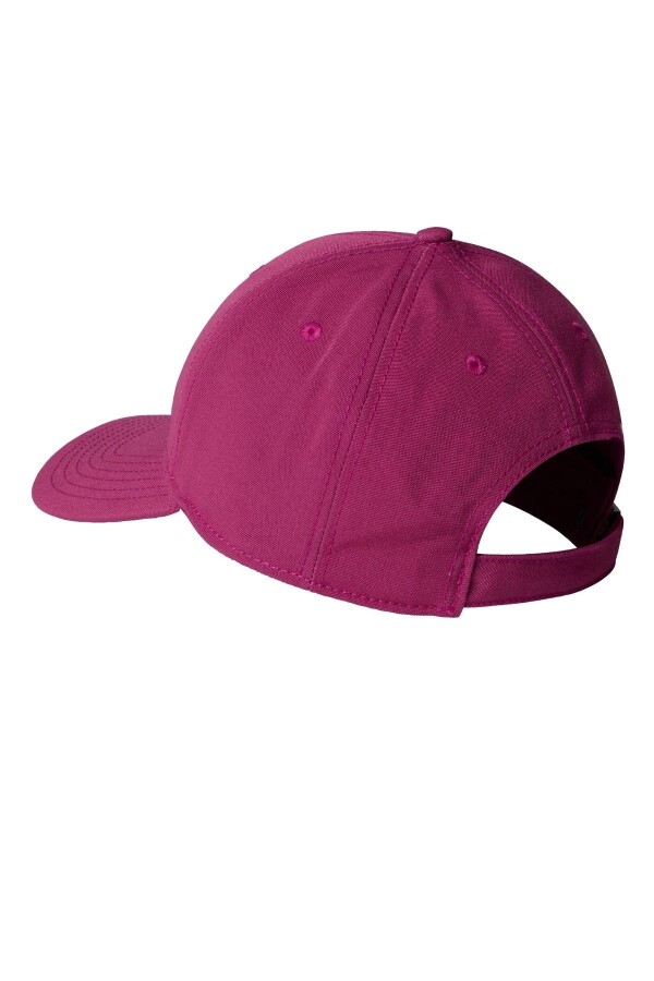 The North Face Recycled 66 Classıc Şapka - THE NORTH FACE (1)