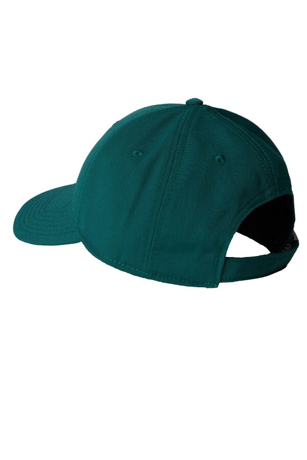 The North Face Recycled 66 Classıc Şapka - THE NORTH FACE (1)