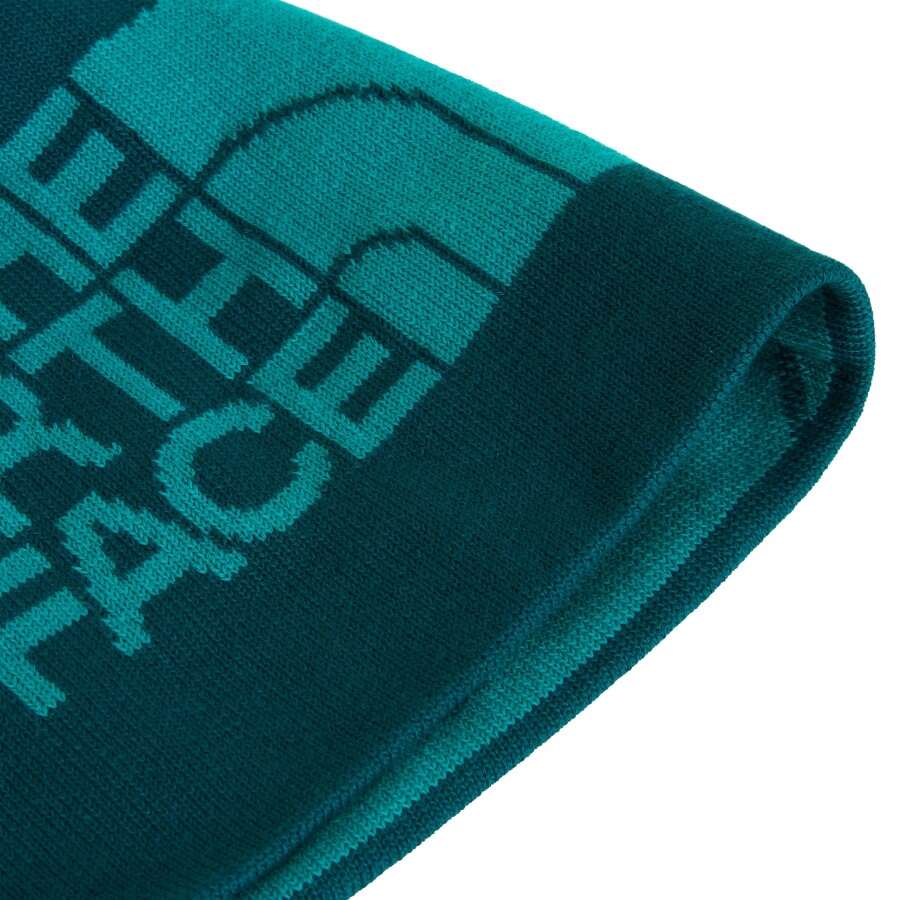 The North Face REVERSIBLE HIGHLINE BEANIE Bere - THE NORTH FACE (1)