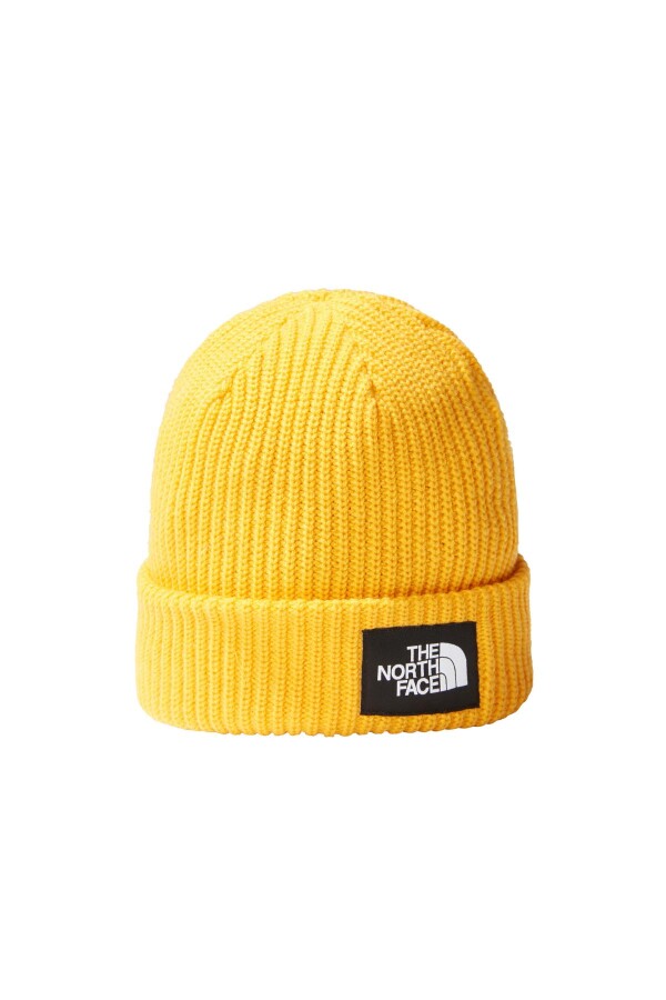 The North Face Salty Lined Beanie Bere 