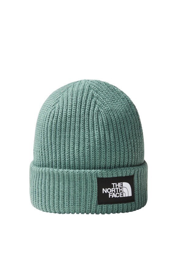 The North Face Salty Lined Beanie Bere 