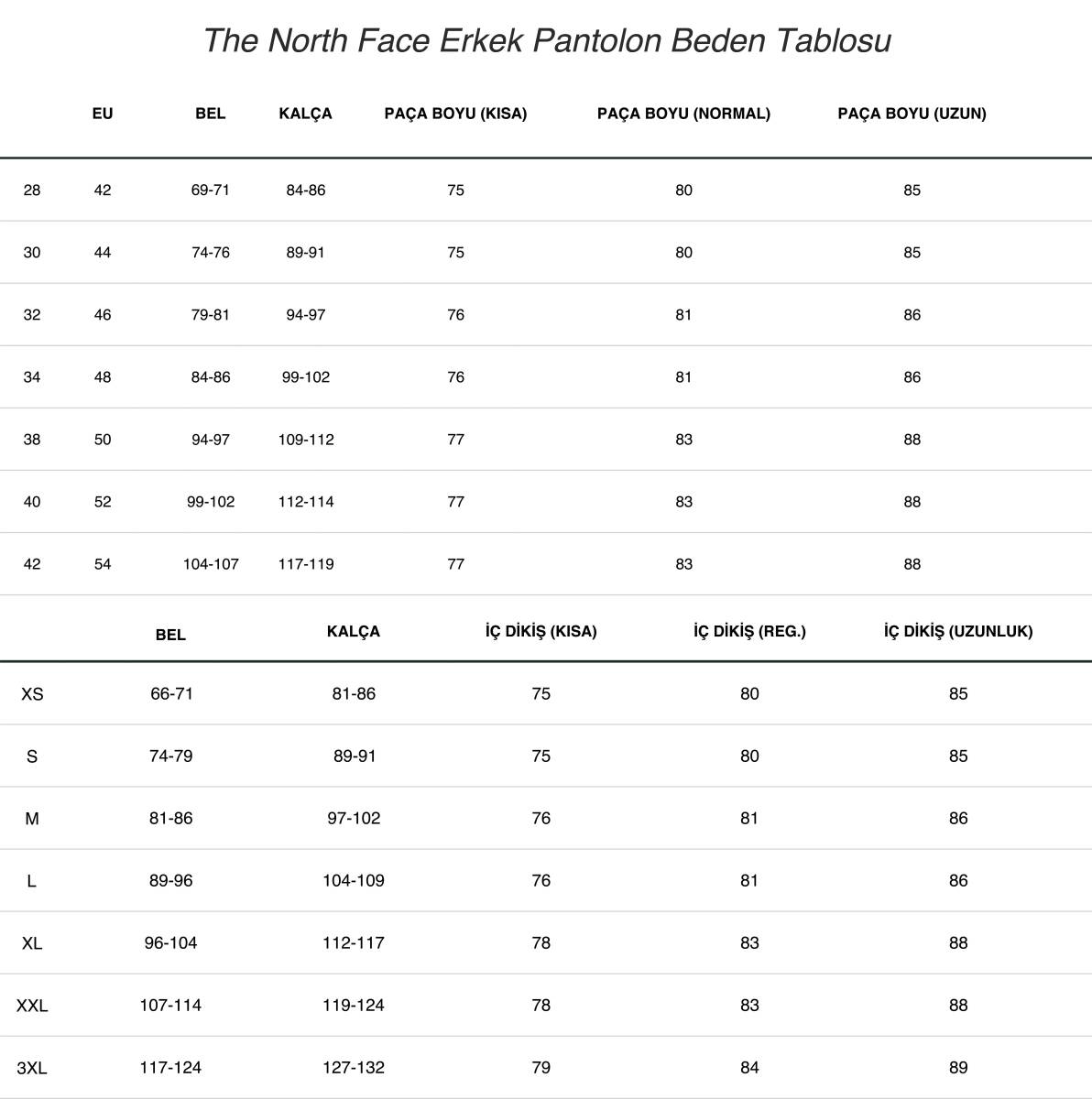 The North Face Speedlight Erkek Pantolon Gri - 3