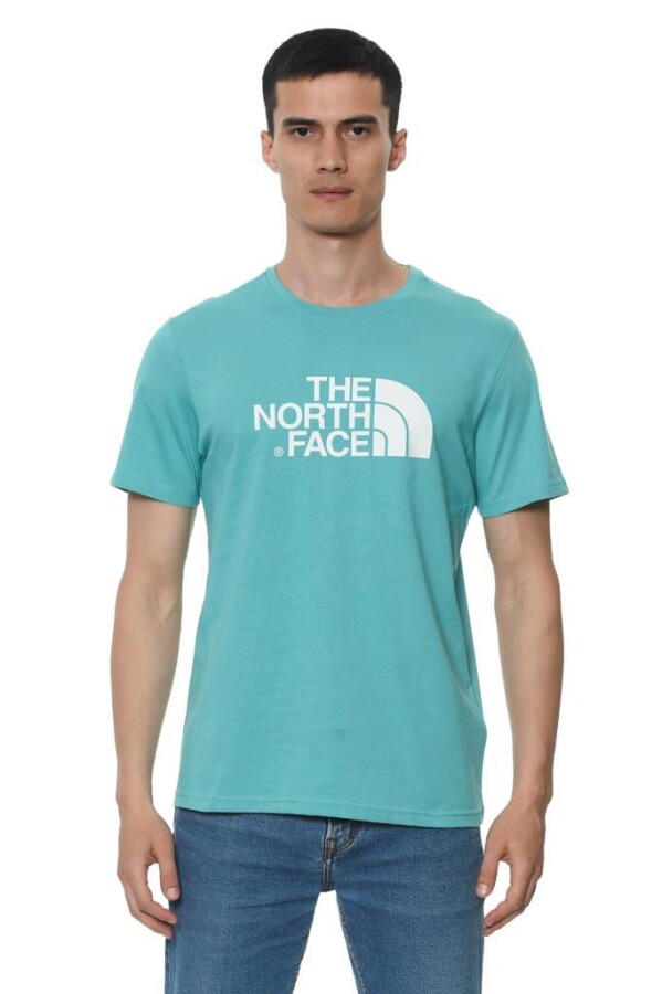 The North Face S/S Easy Tee Erkek Tişört Yeşil 