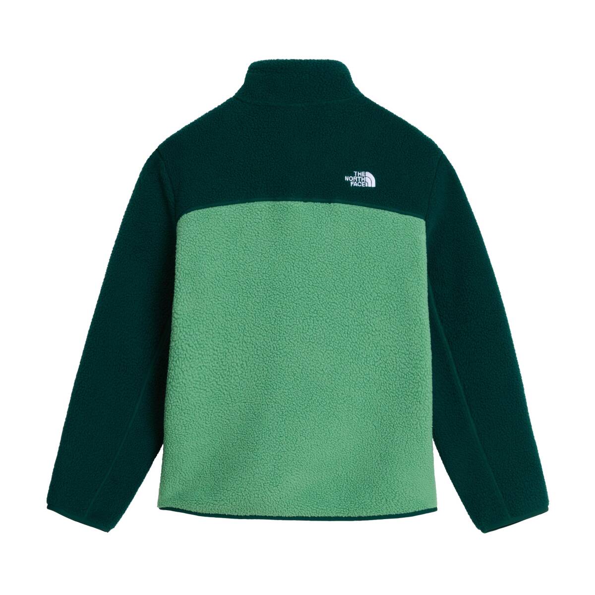 The North Face TEEN YUMIORI 1/4 ZIP JACKET Çocuk Polar Mont - 2