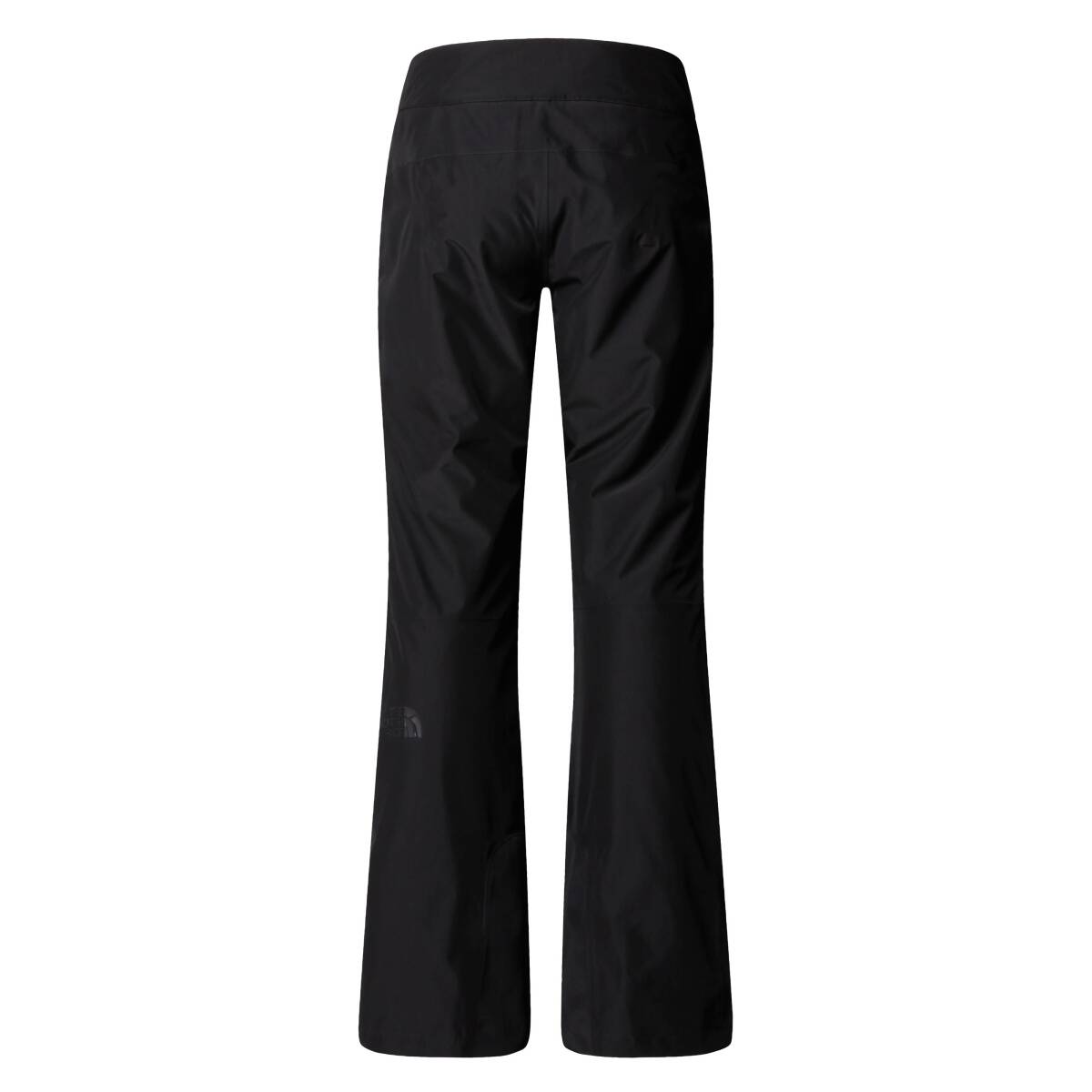 The North Face W DESCENDIT PANT Kadın Kayak Pantolon - 2