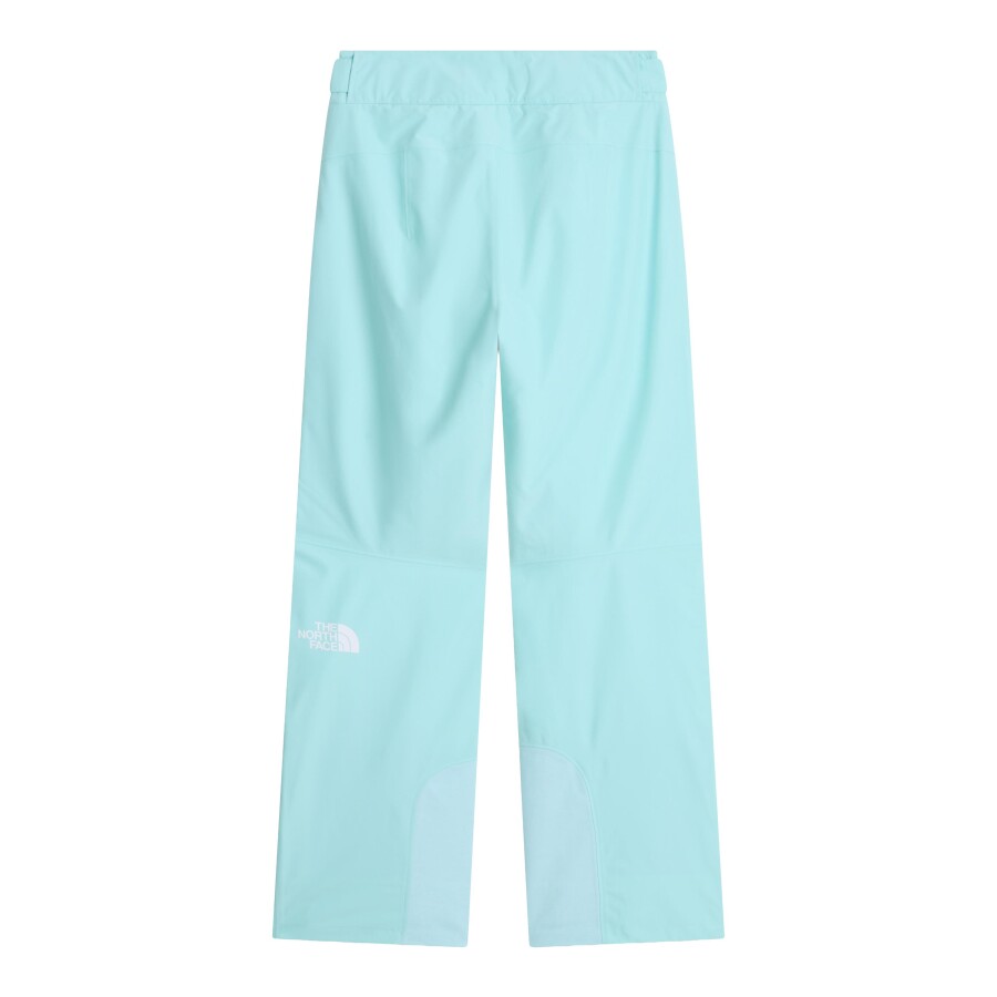 The North Face W DESCENDIT PANT Kadın Kayak Pantolon - THE NORTH FACE (1)
