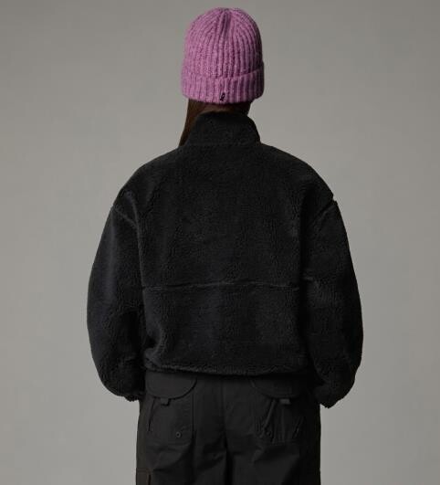 The North Face W EXTREME PILE 2 PULLOVER Kadın Polar - THE NORTH FACE (1)