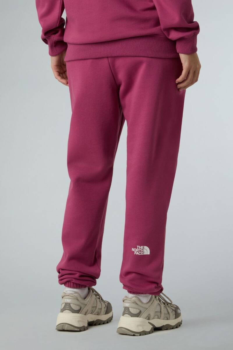 The North Face W Sımple Dome Regular Tapered Kadın Jogger - 2