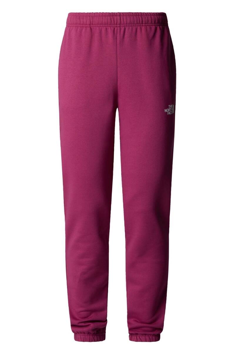 The North Face W Sımple Dome Regular Tapered Kadın Jogger - 4