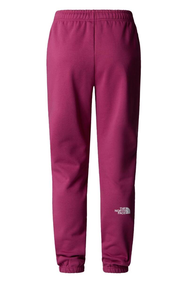The North Face W Sımple Dome Regular Tapered Kadın Jogger - 5