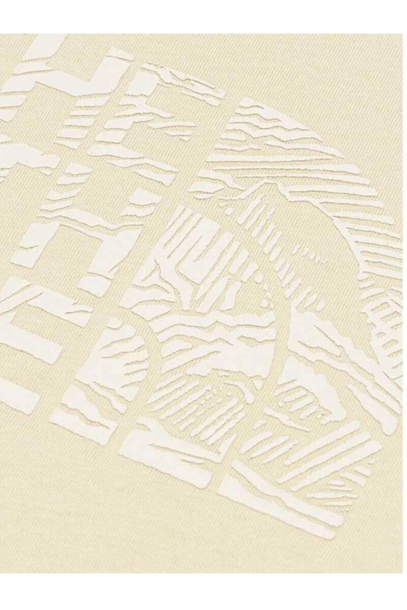 The North Face Woodcut Dome Erkek Tişört Bej - 2