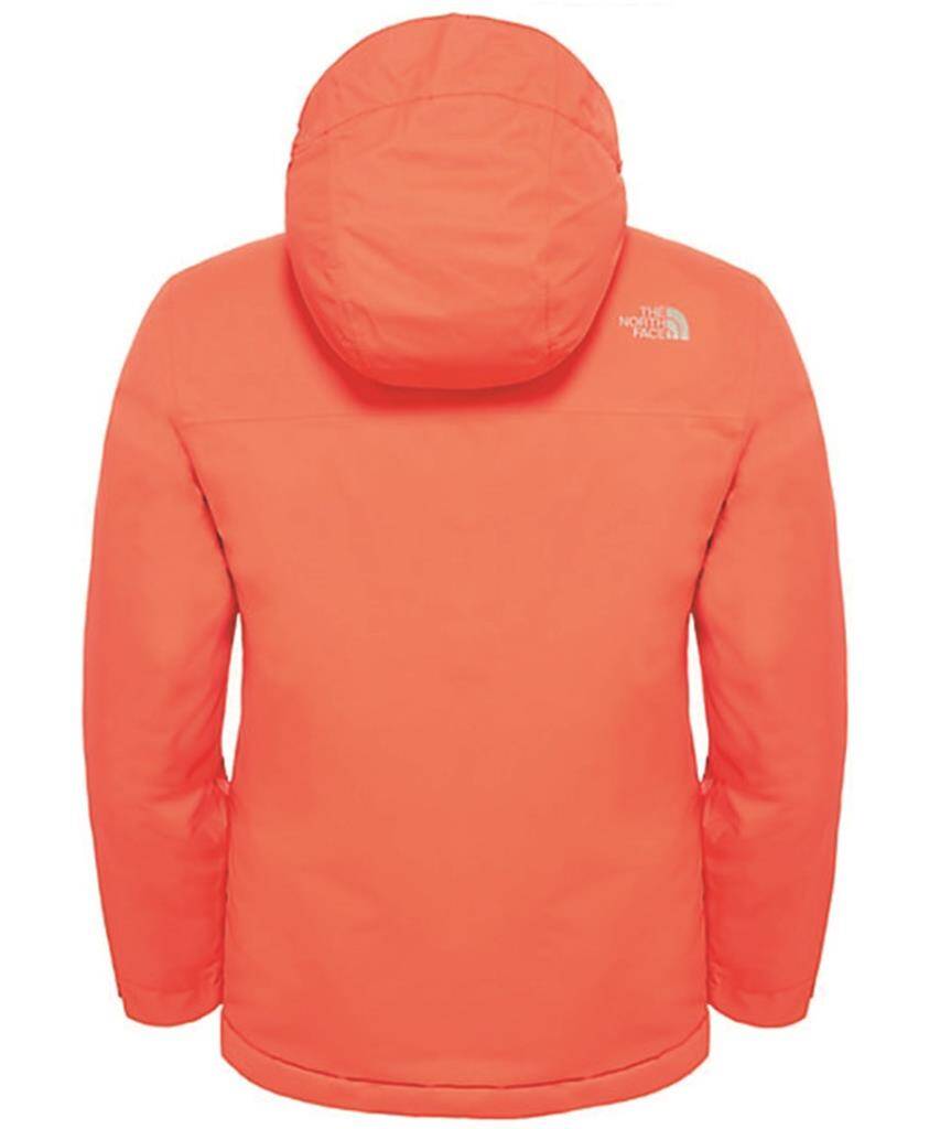 The North Face - Y snow quest jacket Çocuk Mont (fw17) - 1