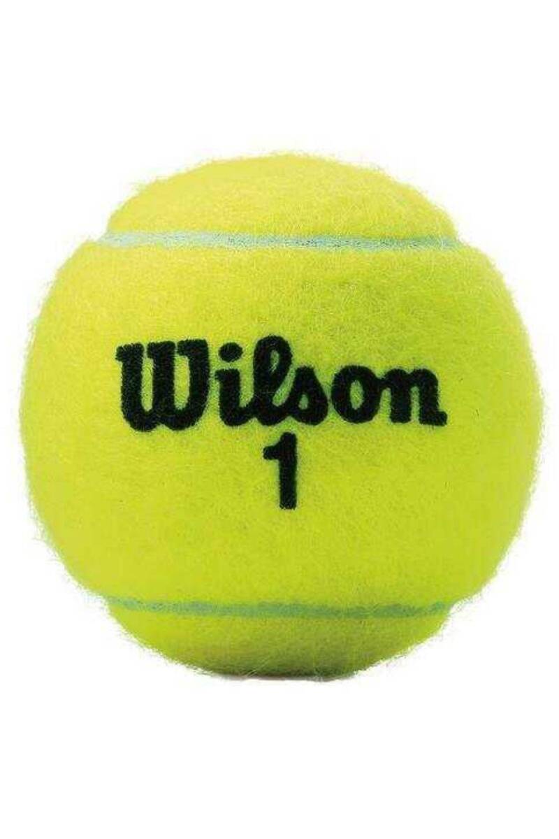 Wilson Champ Xd Tball 3 Ball Can ( WRT100101 ) Tenis Topu - 2